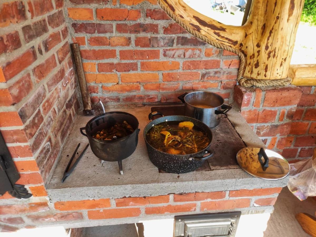 Lesne Zacisze Villa Nowy Targ Exteriör bild