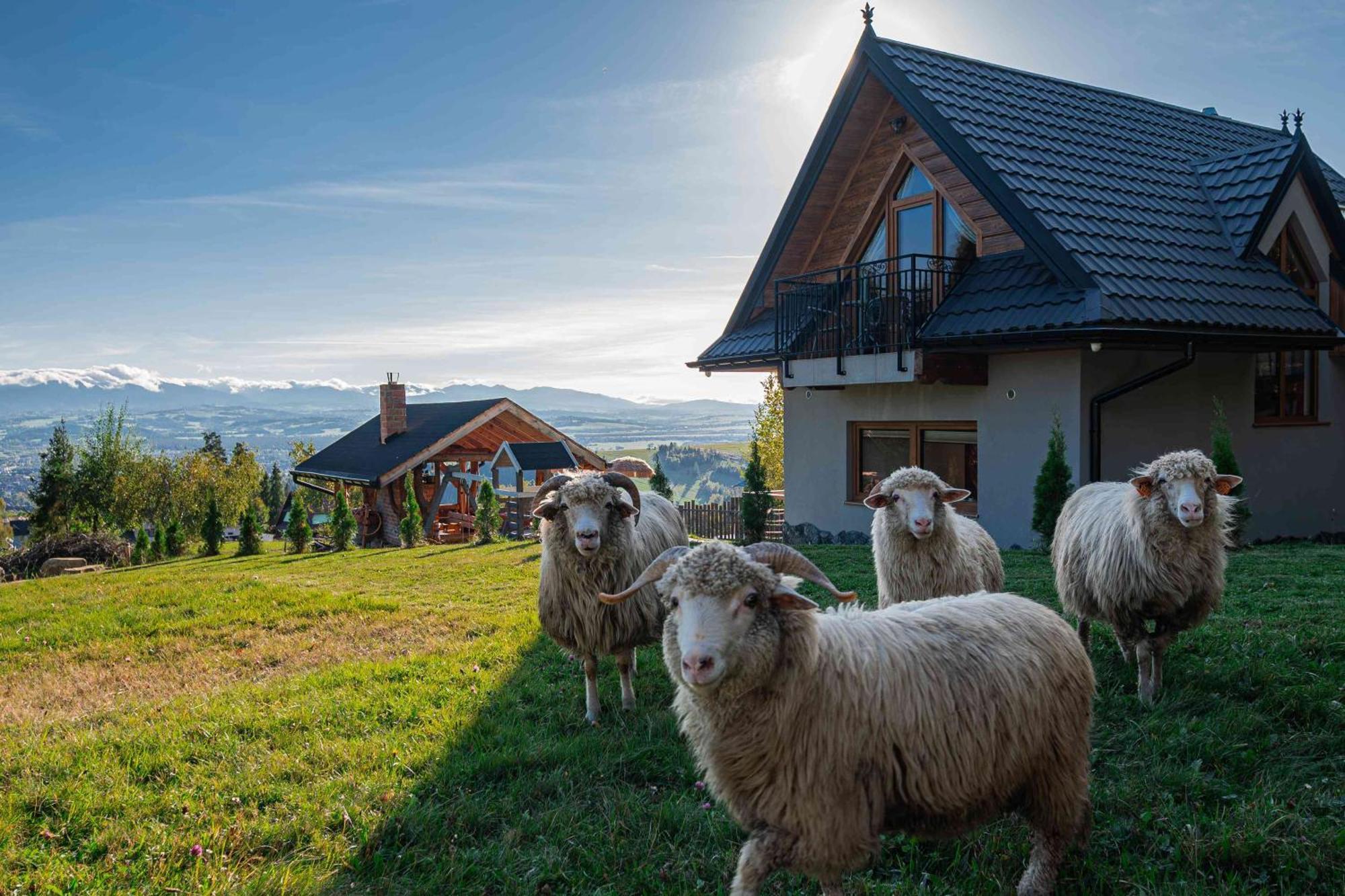 Lesne Zacisze Villa Nowy Targ Exteriör bild